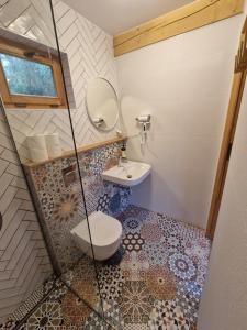 a bathroom with a toilet and a sink at Anna i Halina in Sztutowo