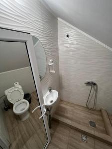 Koupelna v ubytování VILA TORETO