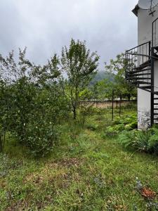 Un campo de hierba al lado de un edificio con un árbol. en House in the Riverside, en İsmayıllı