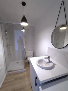 een badkamer met een wastafel, een douche en een spiegel bij T2 MARINE Le LAVANDOU in Le Lavandou