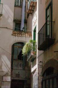 an old building with a plant in a window at Casa vacanza Nina in Salerno