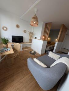 a living room with a blue couch and a tv at Studio de Charme Cosy centre-ville in Tarbes