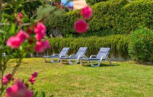 Beautiful Casa Garden Contesses in Momjan外面的花园