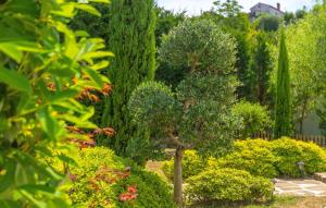 Beautiful Casa Garden Contesses in Momjan外面的花园