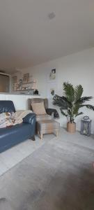 a living room with a couch and a potted plant at Seafront Apartment in Newcastle