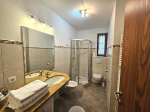 巴德小基希海姆Apartment Franca Bad Kleinkirchheim的带水槽、淋浴和马桶的浴室 更多20张照片