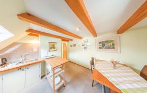 a kitchen and dining room with a table and a sink at Pension Rokytka in Kryštofovo Údolí