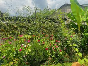 Giardino di Mountain View