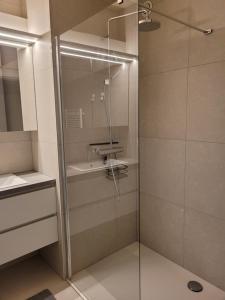 a shower with a glass door in a bathroom at residentie NAUSICAA in Blankenberge +23 photos