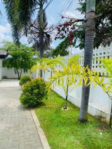 a white fence with trees and plants next to a sidewalk at Premium Cottages B&B in Kurunegala