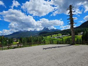 a tree on a gravel road with mountains in the background at Nord Hotel in Cortina dʼAmpezzo