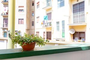 a potted plant on a balcony with buildings at Città Studi Suites - Top Collection in Milan