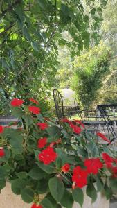 Gallery image of Can Marc in Sant Esteve de Palautordera