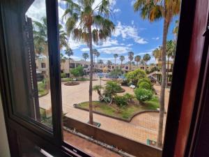 德尔锡伦西奥海岸Paraiso Tagoro Park的窗户享有棕榈树庭院的景致。 更多32张照片