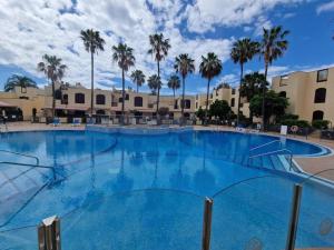 德尔锡伦西奥海岸Paraiso Tagoro Park的一座棕榈树环绕的大型游泳池