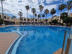 德尔锡伦西奥海岸Paraiso Tagoro Park的度假村里有棕榈树的大型游泳池