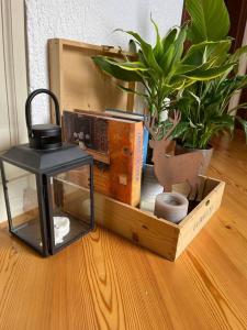 a wooden box with plants and a lamp on a floor at La Bombetta Gialla di Elisa e Marco in Morgex +22 photos