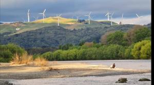 a man standing on a beach with windmills in the background at Private room in homestay in Ashhurst