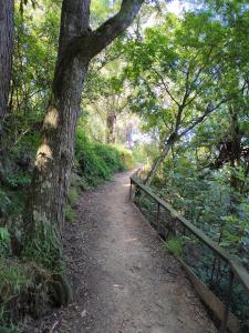 a dirt trail with a tree and a fence at Private room in homestay in Ashhurst