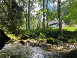 Príroda v okolí horskej chaty