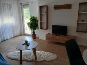 a living room with a table and a tv at Apartman Delevi in Strumica