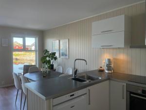 a kitchen with a sink and a counter top at Modern Fishermans Cabin in Ballstad