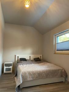 a bedroom with a bed and a window at Palm Beach in Dziwnówek