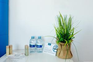 阿布里斯Riva Eco Guest House的相册照片