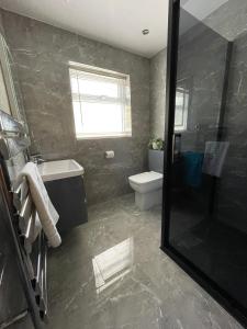 a bathroom with a shower and a toilet and a sink at Sunny Bank in Holsworthy +8 photos