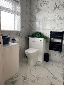 a bathroom with a toilet with a plant on it at Sunny Bank in Holsworthy