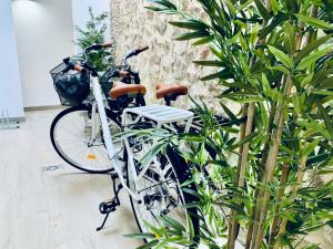 ein weißes Fahrrad, das neben einigen Pflanzen geparkt ist in der Unterkunft Hauzify I Apartament Beach&Bike in Sant Feliu de Guixols