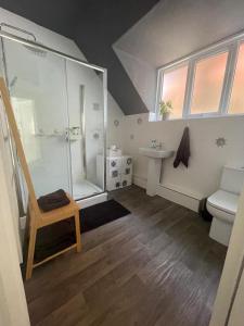 a bathroom with a shower and a toilet and a sink at Spacious Double Studio-style room in Orpington