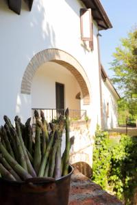 Zahrada ubytování Locanda sul fiume