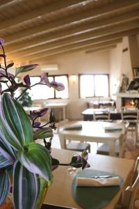 Restaurace v ubytování Locanda sul fiume