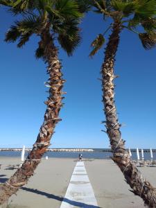 two palm trees on a beach near the ocean at Studio Lido 10 in Lido delle Nazioni