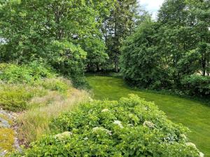 a garden with green grass and bushes and trees at Brekkesten by Norgesbooking - cabin in Stavern in Stavern