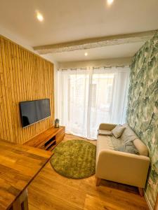 Μια τηλεόραση ή/και κέντρο ψυχαγωγίας στο Logement entier Le Spa des Voutes Jacuzzi Cinéma