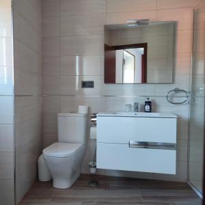 a bathroom with a toilet and a sink and a mirror at O Lar da Crega in O Pino  +19 photos