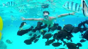 a man swimming in the water with a group of fish at Villas Vetiver in Rodrigues Island