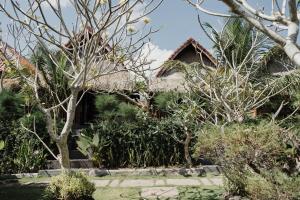 Temeling Jungle Inn外面的花园