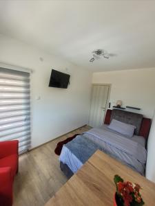 A television and/or entertainment centre at Apartman Zlatar-Vasiljevic