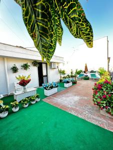 a patio with a bunch of potted plants and flowers at RESIDENCE LUPIAE in Lecce