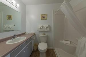 a bathroom with a toilet and a sink and a shower at Auberge Doucet Inn in Chéticamp