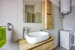 a bathroom with a sink and a mirror at Family Apartment Marea in Nova Vas +19 photos