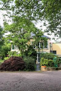 Κήπος έξω από το Saarwein Gut in Wiltingen