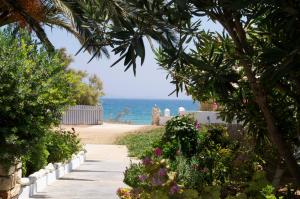 a path leading to a beach with the ocean in the background at Pyrgis Studios in Glifades