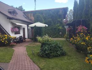 a garden with an umbrella and some flowers at Pokój dwuosobowy Sosnowa in Krasnobród