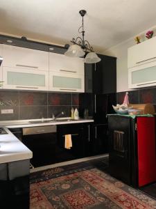 Η κουζίνα ή μικρή κουζίνα στο Green Garden Ilidza