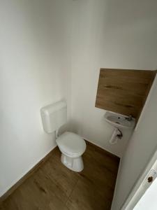 a small bathroom with a toilet and a sink at Széchenyi vendégház in Sajószöged