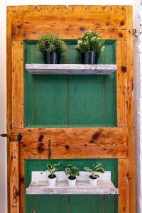 a green door with three shelves with potted plants at Cascina Ca' Storta - 15 minute to Venice in Martellago